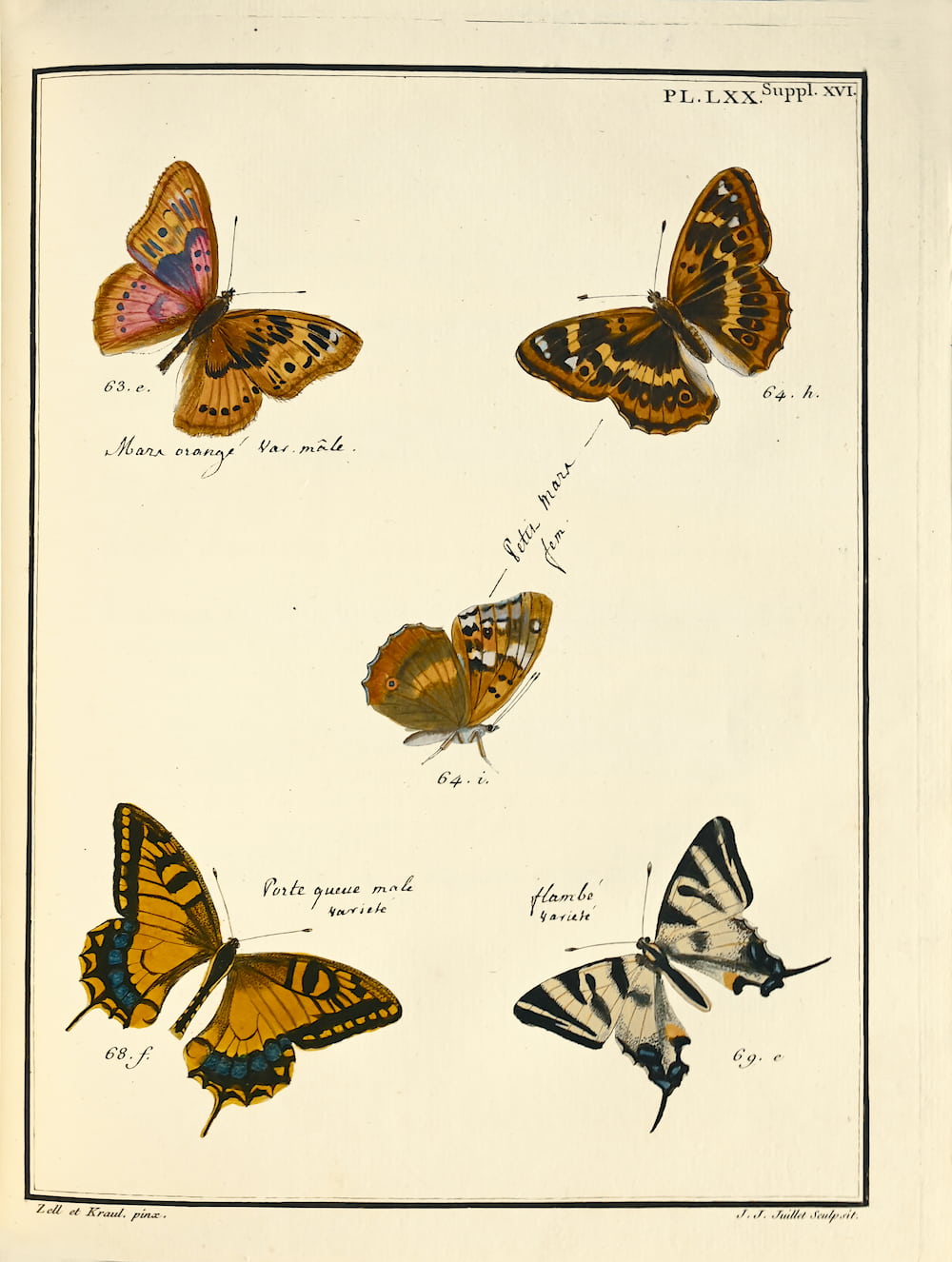 Librairie Camille Sourget, Papillons d’Europe peints d’après nature par Ernst