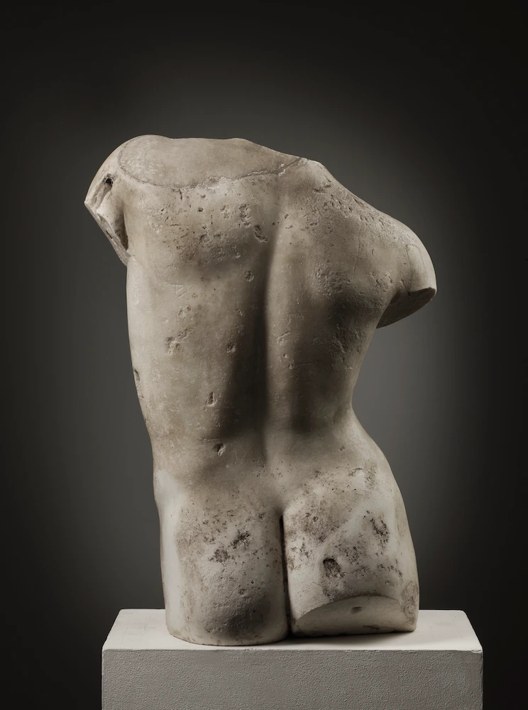Torse d’éphèbe (proche du type du Ganymède Médicis), Marbre, Ier -IIe siècle apr. J.-C.